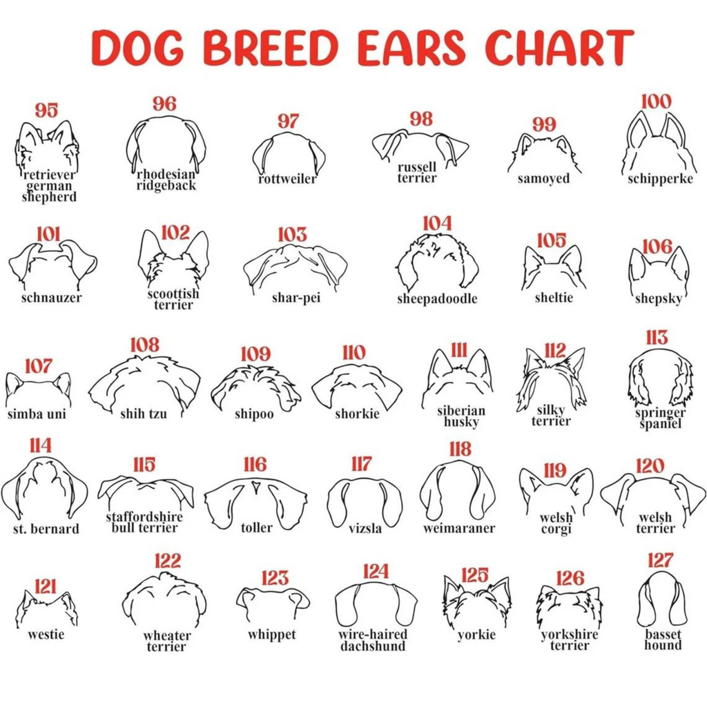 Dog Memorial Frame with Collar Holder